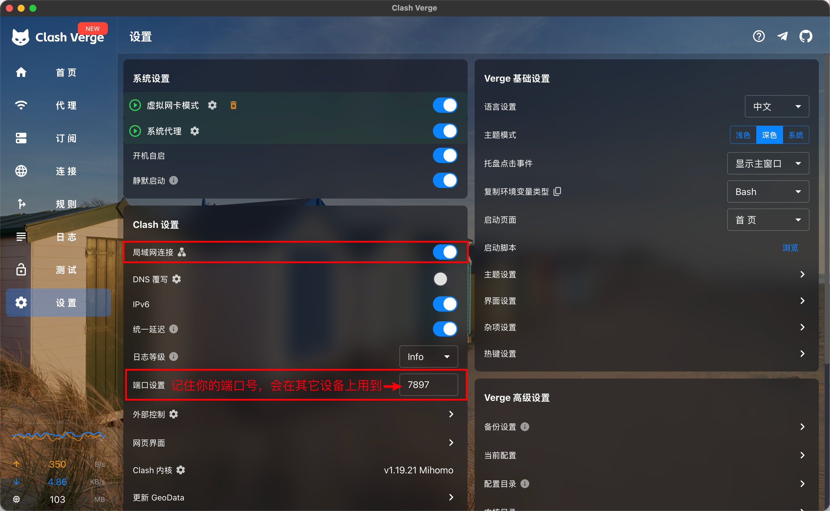 Clash 局域网代理设置截图