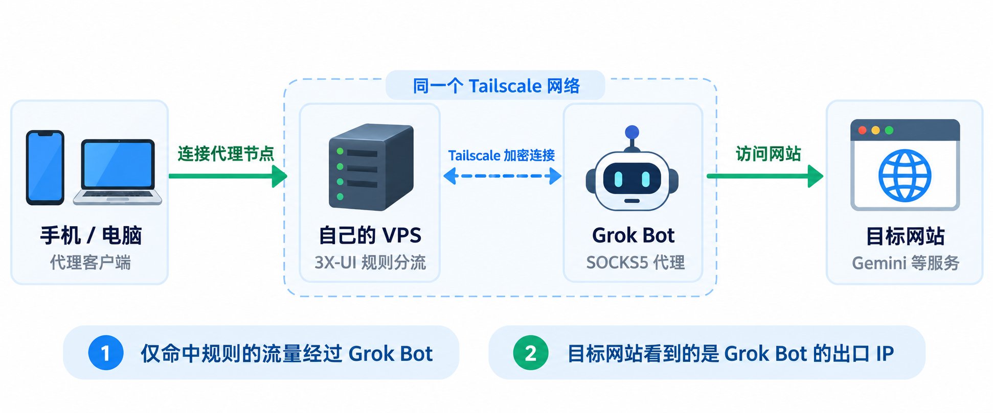 Grok VPS 出口截图