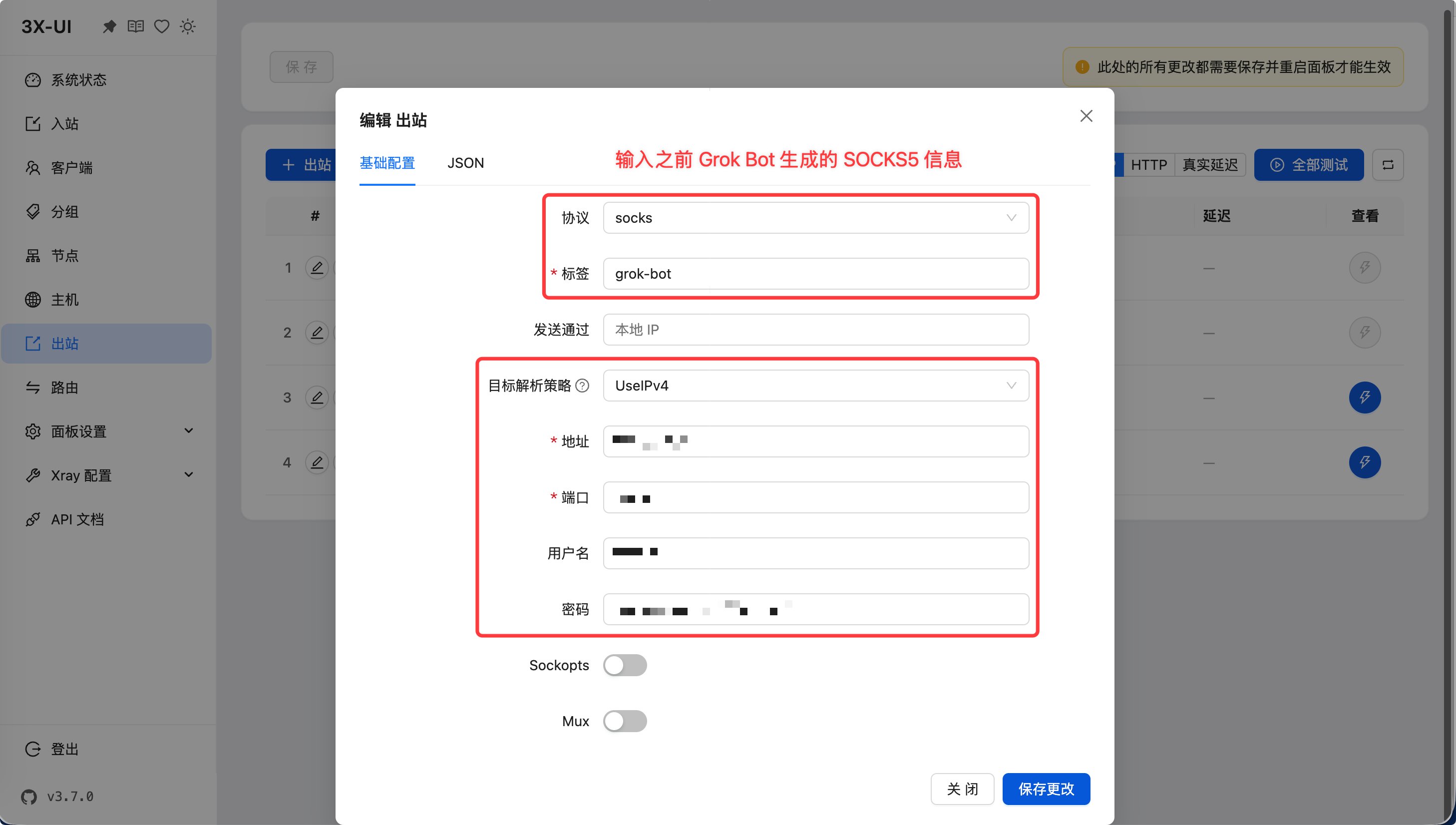 Grok VPS 出口截图