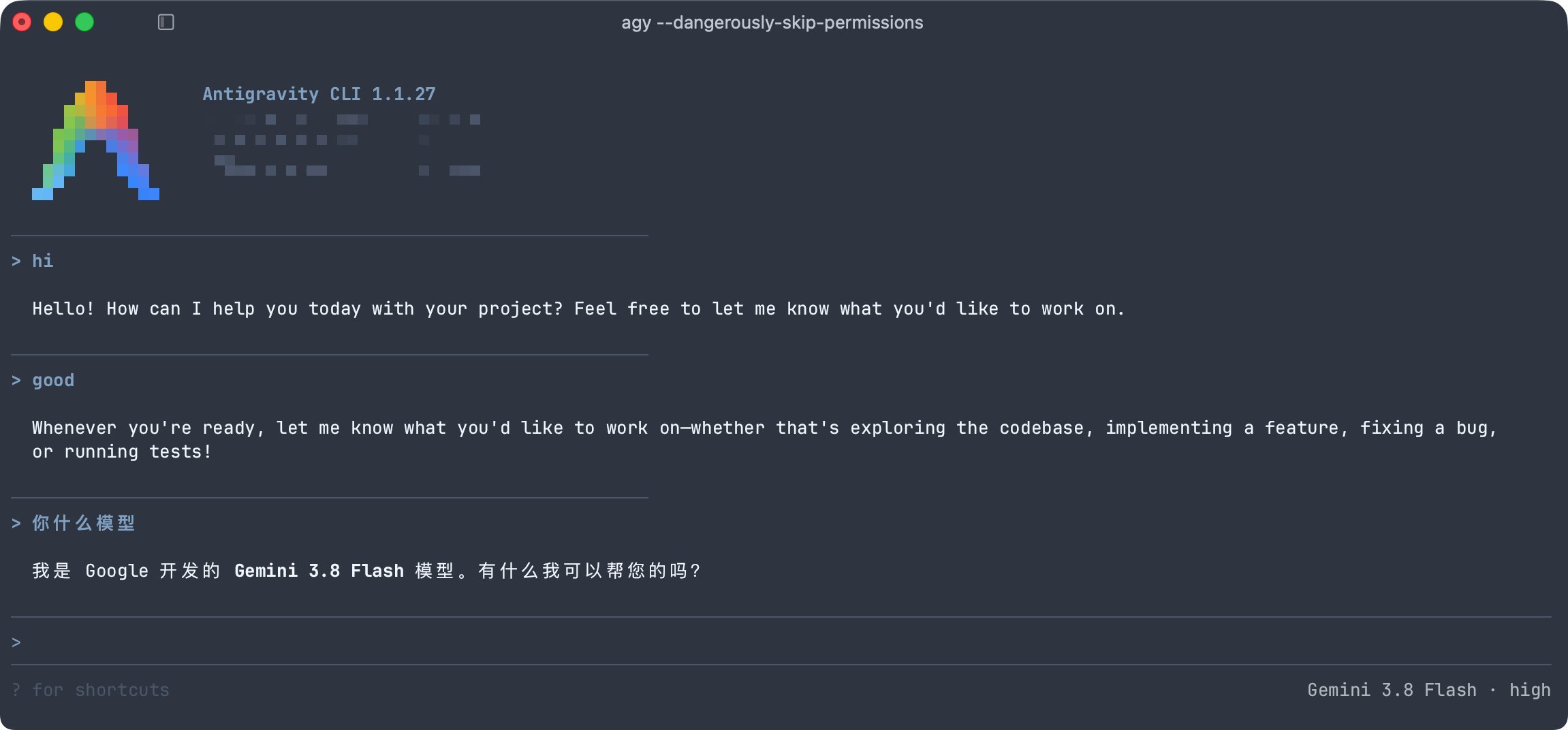 Grok VPS 出口截图